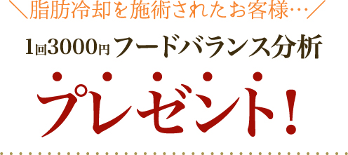 脂肪冷却を施術されたお客様…フードバランス分析が無料