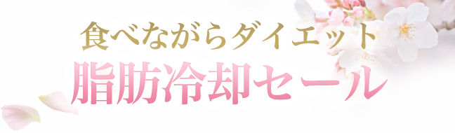脂肪冷却キャンペーン