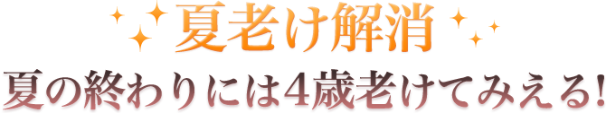 夏老け解消